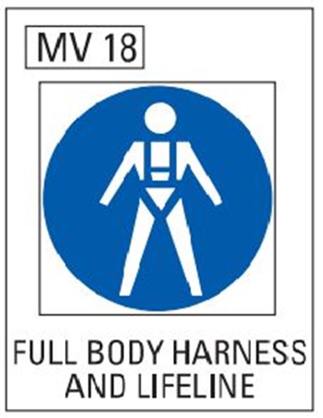 Full Body Harness And Lifeline