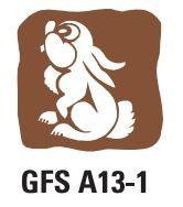 Gfs A13