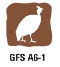 Gfs A6