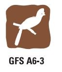 Gfs A6 3