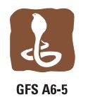 Gfs A6 5