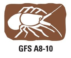 Gfs A8 10