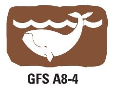 Gfs A8 4