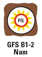 Gfs B1 2 Nam