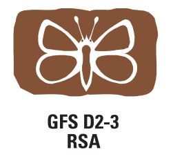 GFSD2 – 3 Rsa