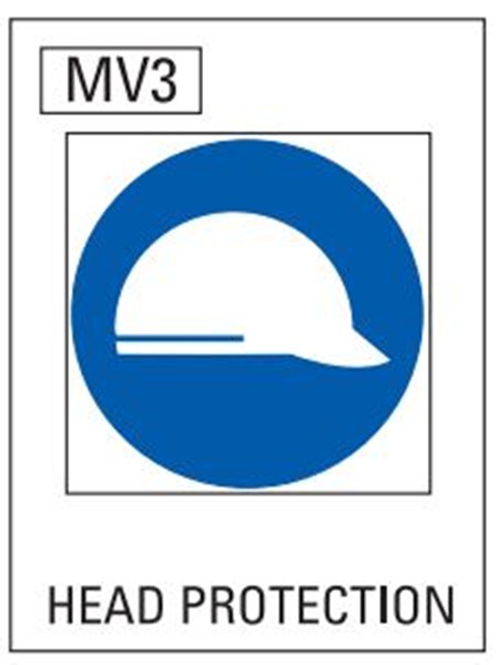 Head Protection