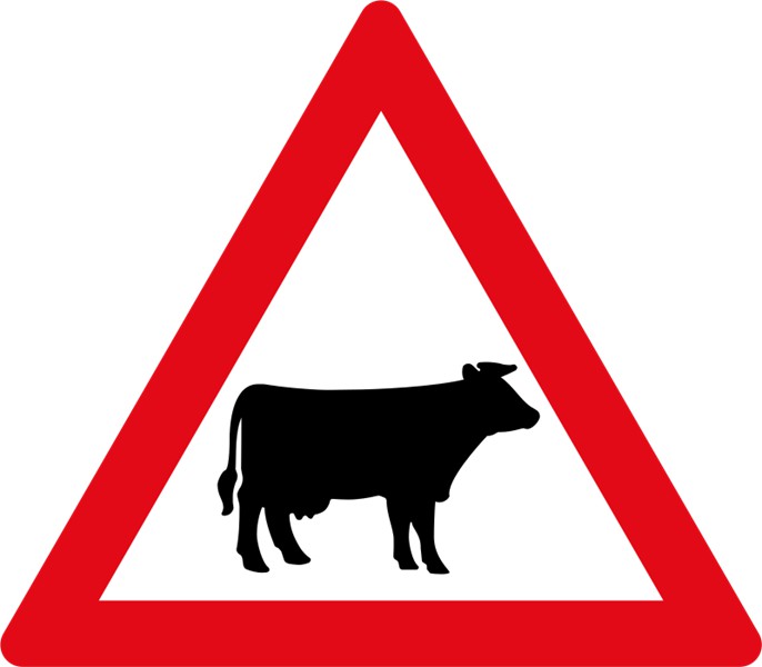 W310 – Domestic Animals Cattle