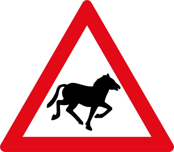 W311 – Domestic Animals Horses