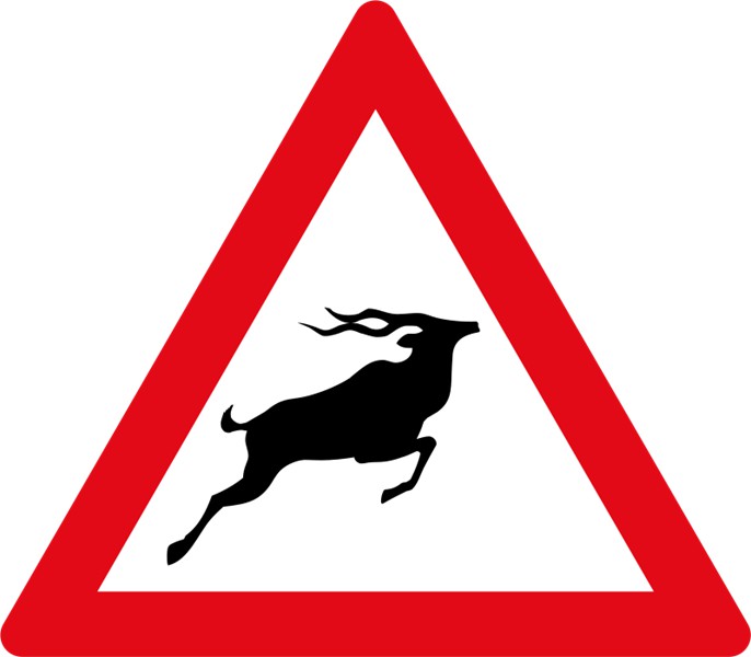 W313 – Wild Animals