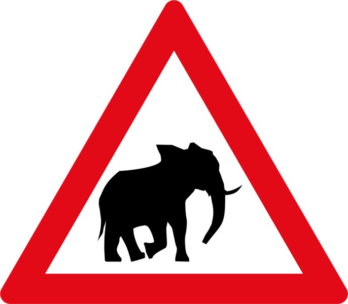 W357 – Elephant