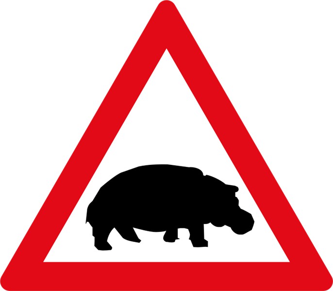 W359 – Hippo